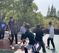 包含球迷心系赛事进程，球员训练备战的词条