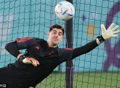 比利时队连续两战告捷，提升排名的简单介绍